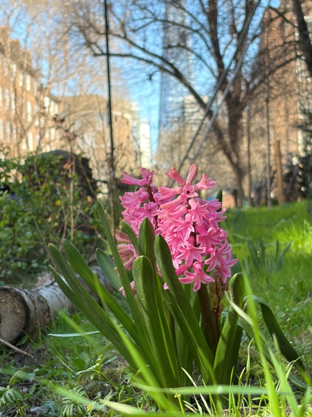 The Rockingham Garden Estate